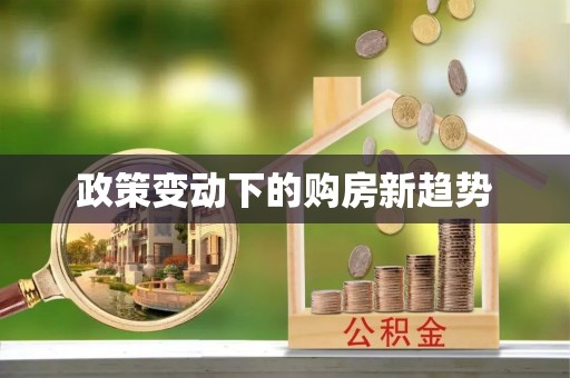 波密政策变动下的购房新趋势