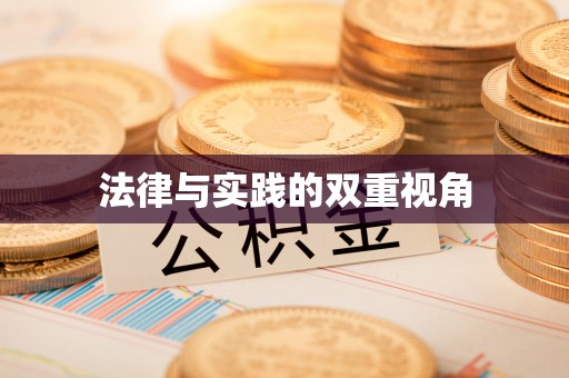 波密法律与实践的双重视角