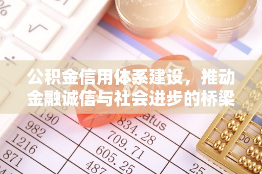 波密公积金信用体系建设，推动金融诚信与社会进步的桥梁