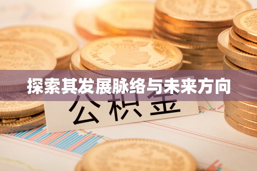 波密探索其发展脉络与未来方向