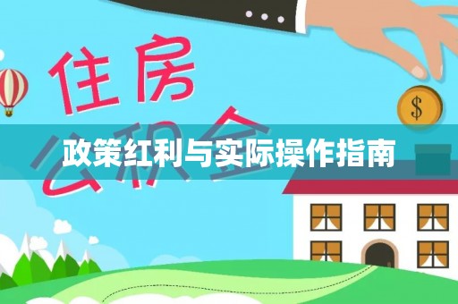 波密政策红利与实际操作指南