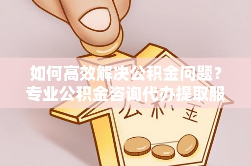 波密如何高效解决公积金问题？专业公积金咨询代办提取服务来帮你
