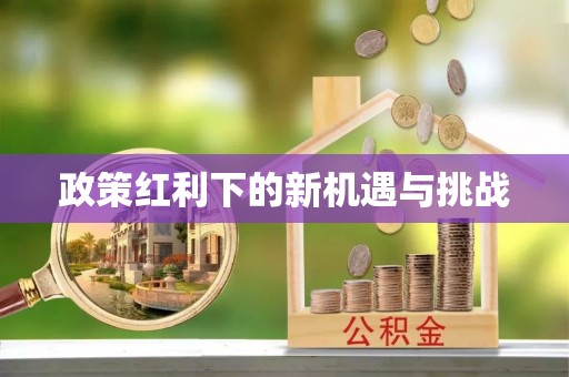 波密政策红利下的新机遇与挑战