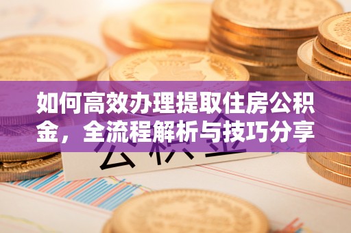 波密如何高效办理提取住房公积金，全流程解析与技巧分享
