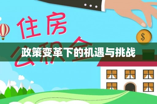 波密政策变革下的机遇与挑战