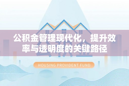 波密公积金管理现代化，提升效率与透明度的关键路径