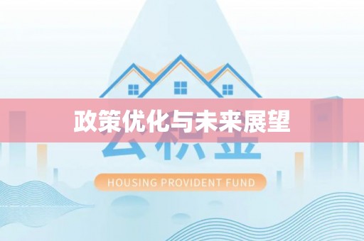 波密政策优化与未来展望