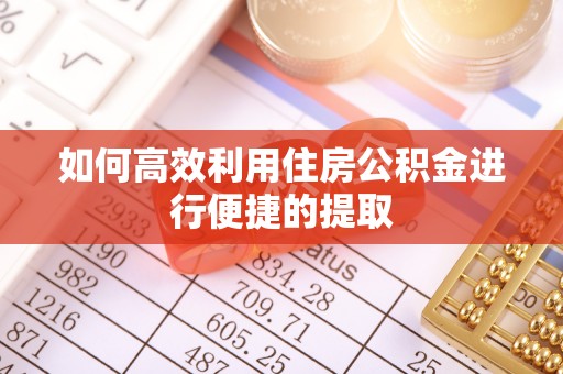 波密如何高效利用住房公积金进行便捷的提取