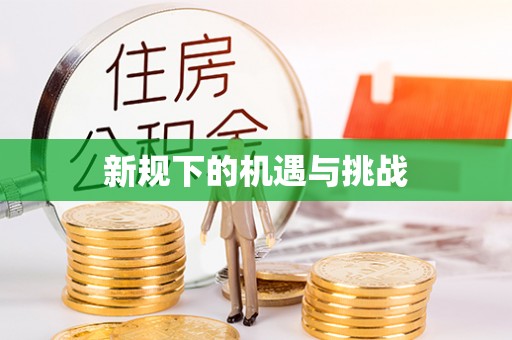 波密新规下的机遇与挑战
