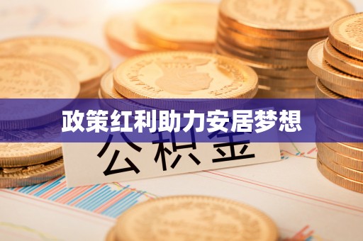 波密政策红利助力安居梦想