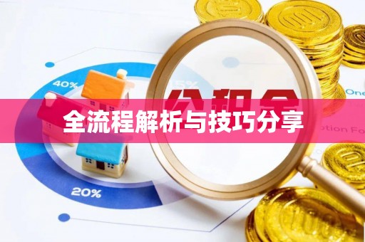 波密全流程解析与技巧分享
