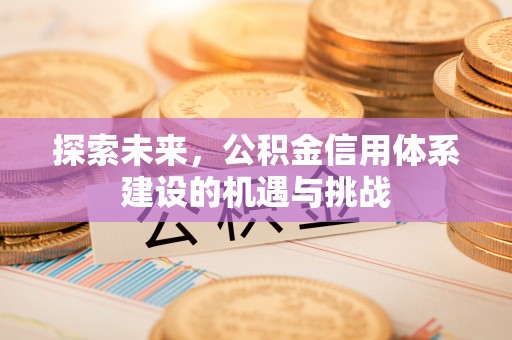 波密探索未来，公积金信用体系建设的机遇与挑战