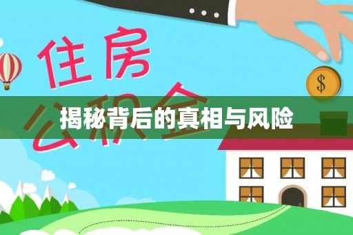波密揭秘背后的真相与风险