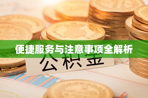 波密便捷服务与注意事项全解析