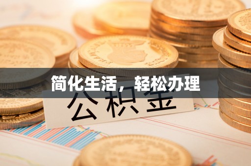 波密简化生活，轻松办理
