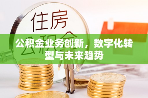 波密公积金业务创新，数字化转型与未来趋势