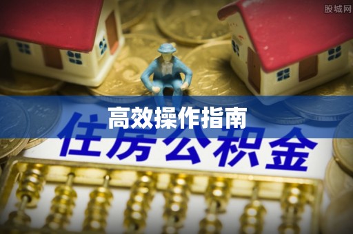 波密高效操作指南