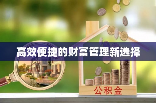 波密高效便捷的财富管理新选择