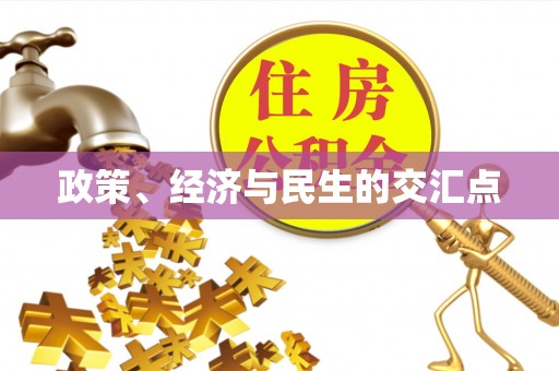波密政策、经济与民生的交汇点