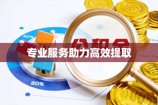 波密专业服务助力高效提取