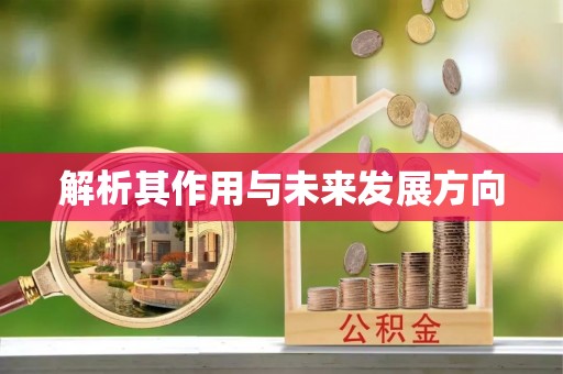 波密解析其作用与未来发展方向