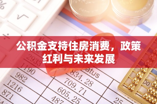 波密公积金支持住房消费，政策红利与未来发展