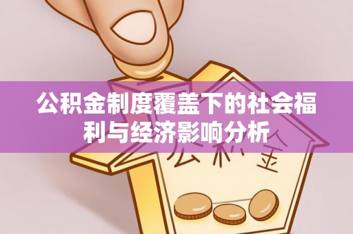 波密公积金制度覆盖下的社会福利与经济影响分析