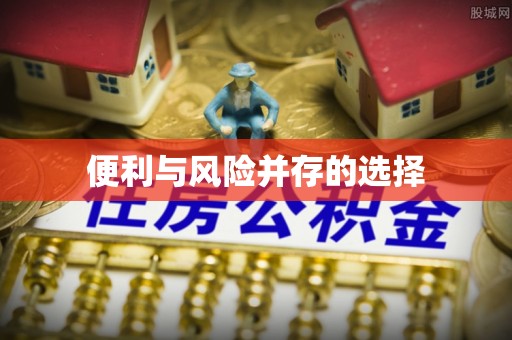 波密便利与风险并存的选择