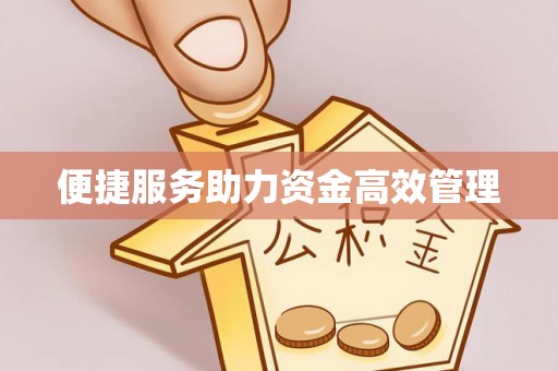 波密便捷服务助力资金高效管理