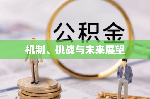 波密机制、挑战与未来展望