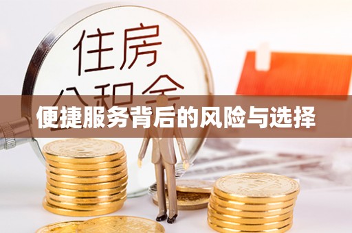波密便捷服务背后的风险与选择