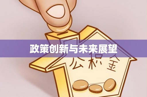 波密政策创新与未来展望