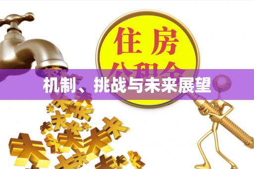 波密机制、挑战与未来展望
