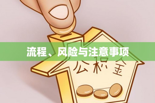 波密流程、风险与注意事项