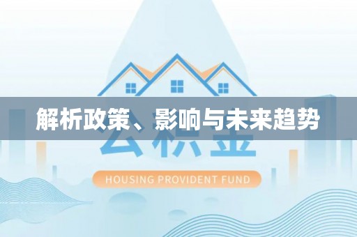 波密解析政策、影响与未来趋势