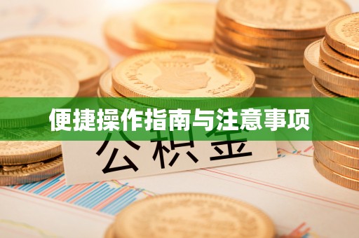 波密便捷操作指南与注意事项