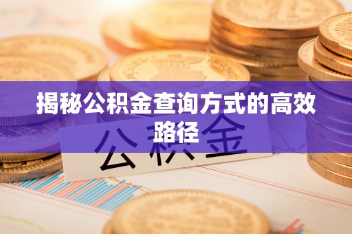 波密揭秘公积金查询方式的高效路径