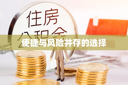 波密便捷与风险并存的选择