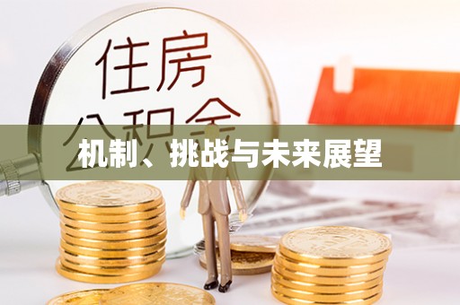 波密机制、挑战与未来展望